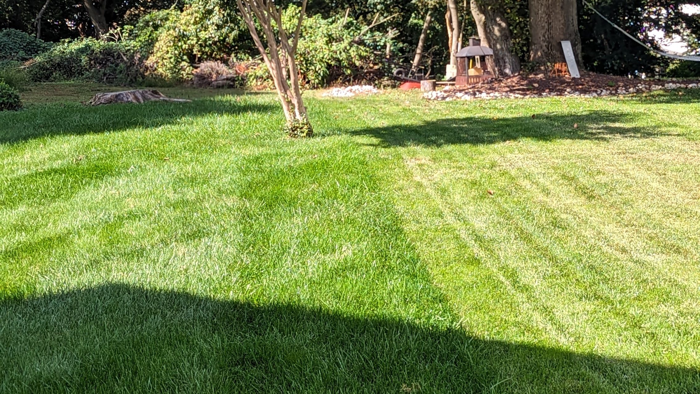 lawn care media