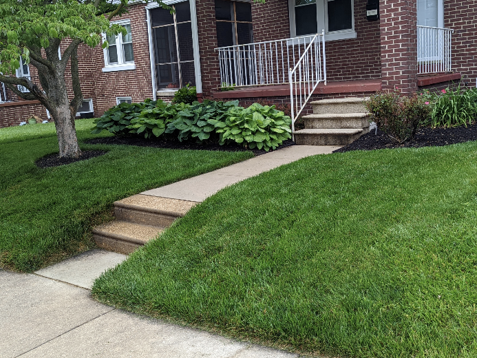 lawn care service media